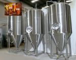 1000L 2000L Stainless Steel Micro Brewing Beer Brewery Equipment