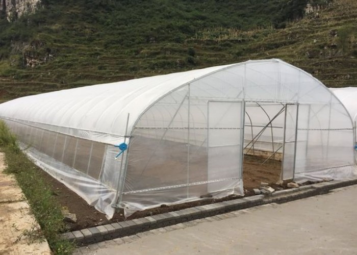High Quality Clear UV Resistant Greenhouse Film Plastic Agriculture For Strawberry Flower Hydroponic