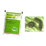 Long Lasting Effect Pesticide SeNPV Bt Farmland Planting Vegetable Field Pest