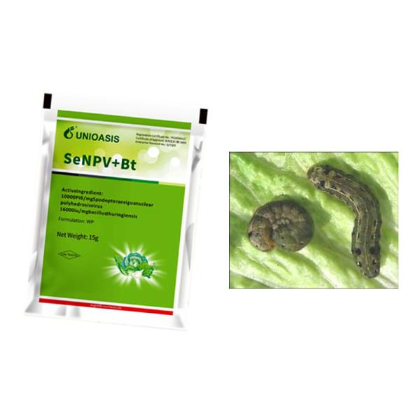 Long Lasting Effect Pesticide SeNPV Bt Farmland Planting Vegetable Field Pest