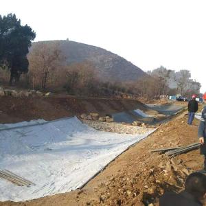 Wholesale Geosynthetic Clay Liner for Municipal Water Conservancy Effective and Durable Solution from china suppliers