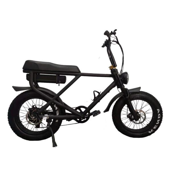 20 Inch Electric Fat Tyre Bike for Adult Customized Vintage E Dirt Bike Beach