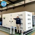 Soundproof CUMMINS Diesel Generator 3 Phase 200Kva 160Kw Automatic