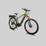 27.5 Inch 250W Electric Mountain Bike With 9 Speed Gears 200KM Long Range