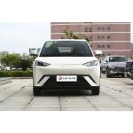 2024 BYD Haiou Flying PEP FREE Version Pure Electric Small Car with 30.08kWh