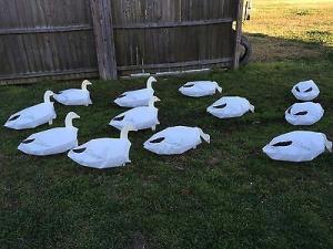Wholesale Deadly Decoys Headless Snow Goose Windsock Decoys 12pk DEA-109 from china suppliers