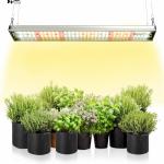 Kitchen Plants' Growth Essential Upgraded Full Spectrum Plant Light with 5000K