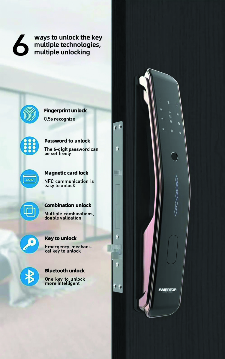 Security WiFi APP Access Fingerprint Smart Door Lock for Home