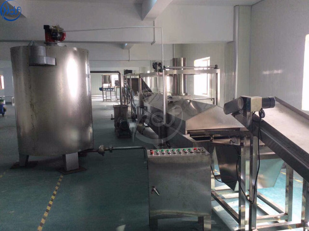 Commercial French Fries Frying Machine Onion Automatic Deep Fryer Machine