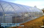 Manafacture PE Material Pre-stretch Perforated UV Resistant Agriculture Film