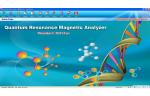portuguese Version Quantum Therapy Machine , AH - Q6 magnetic resonance quantum