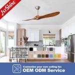 6 Speeds Low Noise DC Motor Ceiling Fan With 2 Solid Wood Blades