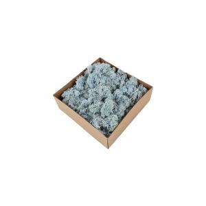 Wholesale Decorative Modern Green Moss , Indoor Moss Wall With No Harmful Substances from china suppliers