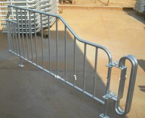 Wholesale Excellent Durability Swine Gestation Crates 2100x600x1000mm Easy To Clean from china suppliers
