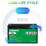 Visench Direct factory high quality 12v 5ah lithium solar battery