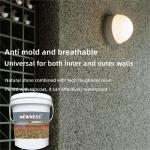 Customized Color Home Paint Professional for Optional Texture Exterior Granite