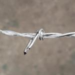 Hot Dip Galvanizing Barbed Wire Roll 400 Meters 350kgf Tensile Strength