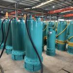 Mining And Oil Extraction Explosion Proof Submersible Pump BQS 45kW
