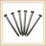 concrete nail/common nail/nail
