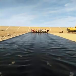 Wholesale Customizable Prefabricated Geomembrane for Puncture Resistance in Water Storage Tanks from china suppliers