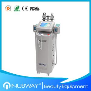 Wholesale 2014 Best cryolipolysis for beauty salon use / fat freeze cryolipolysis from china suppliers