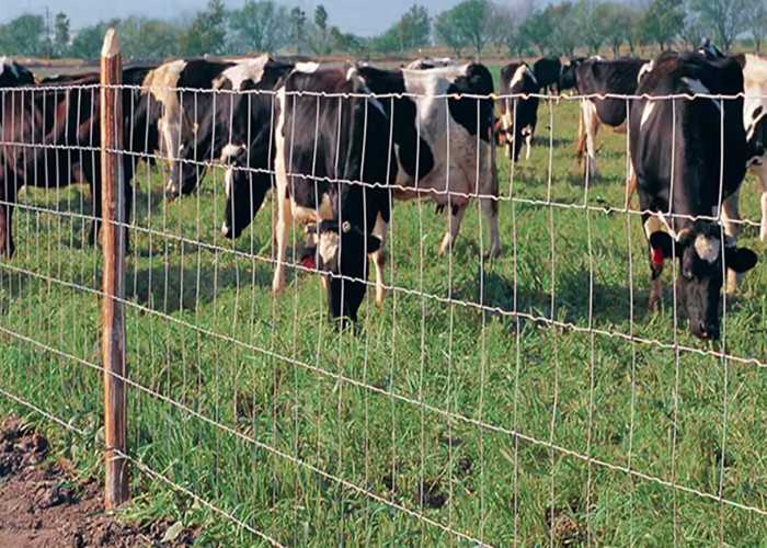 4x16ft Heavy Duty Goat Horse Wire Mesh Fence Panel With 4''x4'' Openings Height 4ft Zinc Coating Max 230-240g Per S