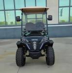 New Off Road 2 Seaters Golf Cart CE Certificated 60V 100Ah Lead-Acid Battery