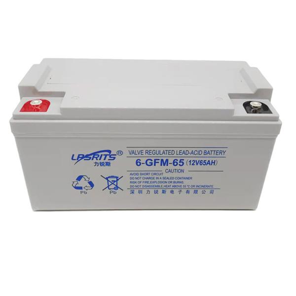Liruisi 65Ah 12V Lead Acid Batteries VRLA 6-GFM-65 For Uninterruptible Power