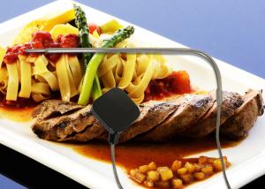 Wholesale Digital Cooking Bluetooth Food Thermometer Smart Grill Thermometer Black Color from china suppliers