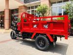 Red DAYANG 2021 Heavy Loading Truck Tricycle 150CC/175CC/200CC/250CC Motorized