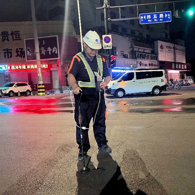 Remote Hazardous Portable Methane Detector Gas Monitor Explosion Proof