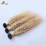 1B/613 Peruvian Brazilian Human Hair Bundle With Frontal Lace Closure
