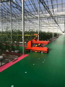 Wholesale Steel Structure Humidity-Controlled Growing System Juxiang's Cutting-Edge Technology from china suppliers
