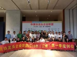 Wholesale the regular meetings and the activities for the alliance of Chinese leading fruits company from china suppliers