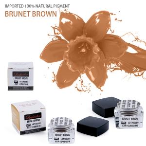 Wholesale Eyebrow Tattoo Semi Permanent Makeup Pigments Micropigmentation Pigments from china suppliers