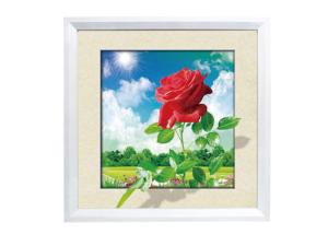 Wholesale CMYK Printing 5D Effect Lenticular Movie Poster / Pictures With White MDP Frame from china suppliers