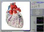 3d Nls Quantum Magnetic Resonance Health Analyzer For SPA Club And Clinics
