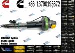 QSK38 QSK50 QSK60 Fuel Injector F00BJ00006 2881088 0986435615 Diesel Injector
