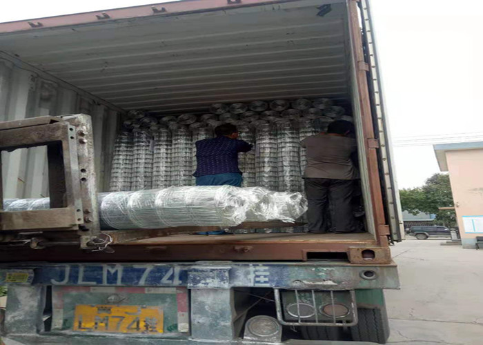 roadway 19.1mmX19.1mm BWG20 Pvc Welded Wire Mesh