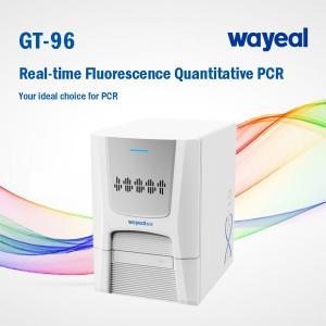 Wholesale Wayeal Clinical Medical Real Time Pcr Analyzer For Nucleic Acids Testing from china suppliers