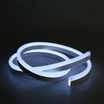 Neon Flex DC 12V IP65 Waterproof 8x16mm 120 LEDs/M Full Kit 12V for Energy-