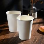 Single Wall Hot Drink Disposable Paper Cup Printed Biodegradable 12oz