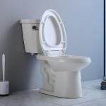 American Standard Two Piece Toilet With 10-Inch Rough-In Siphon Flushing