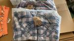 Men's plaid zipper sharpa coats