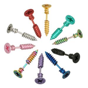 Wholesale Stainless Steel Stud Earrings Black Gold Sliver Colorful Screws Unisex Punk Men Screw Stud Earring Ear Stud from china suppliers