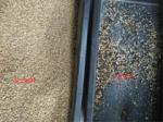 1 Chute 64 Channels Wenyao Color Sorter for Rye seeds