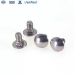 Square Neck Carriage Bolts with Customized Stainless Steel Head Mirror Polished