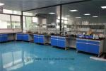 Aluminium Alloy Handle Chemical Lab Furniture , Blue 3000 mm Length Phenolic
