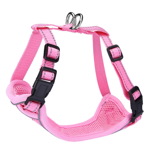 cat harness for kittens