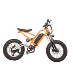 Rear Hub Motor 750w High Speed Dirt Bike Off-Road Electric Fat Tire Bike